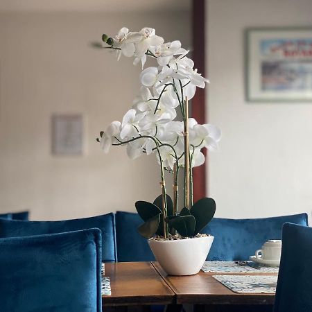 Hotel Le Pasteur Royan Buitenkant foto